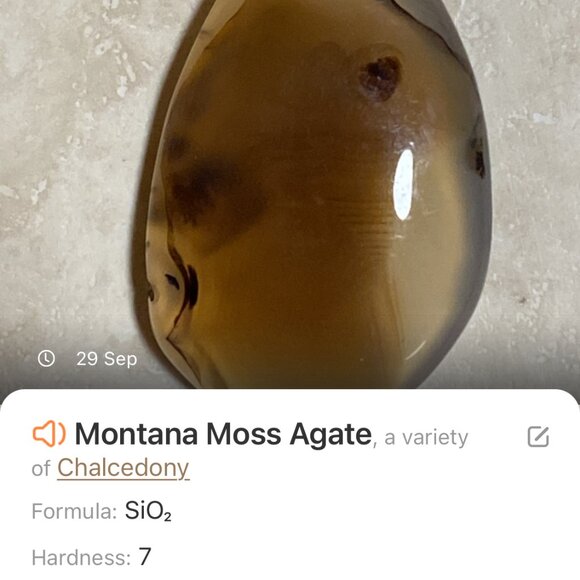 Natural Earthy Montana Moss Agate Pendant, Large Water-drop Genuine Gemstone - Picture 12 of 13